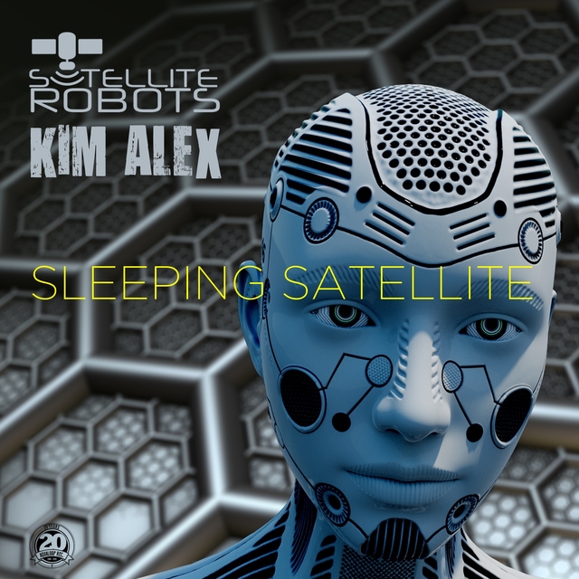 Couverture de Sleeping Satellite