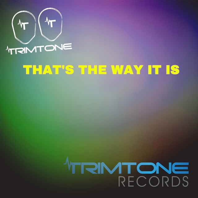 Couverture de That's the Way It Is