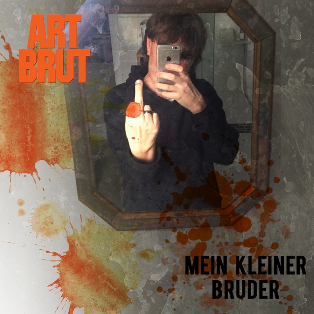 Couverture de Mein kleiner Bruder