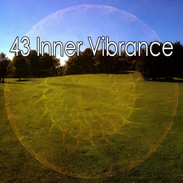 Couverture de 43 Inner Vibrance