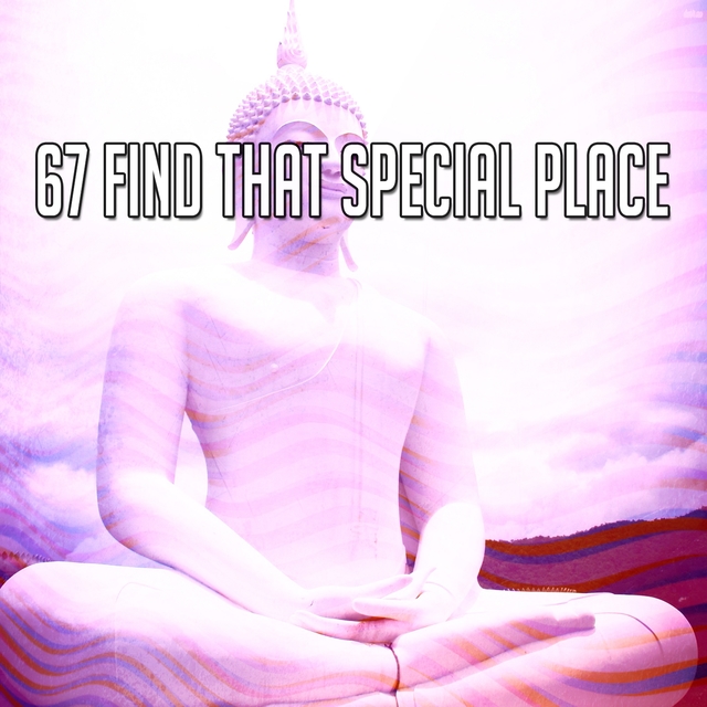 Couverture de 67 Find That Special Place