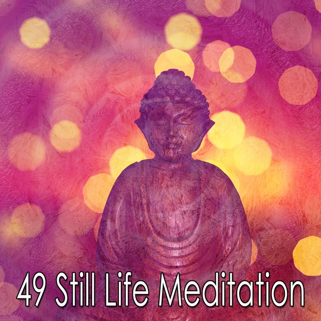 49 Still Life Meditation