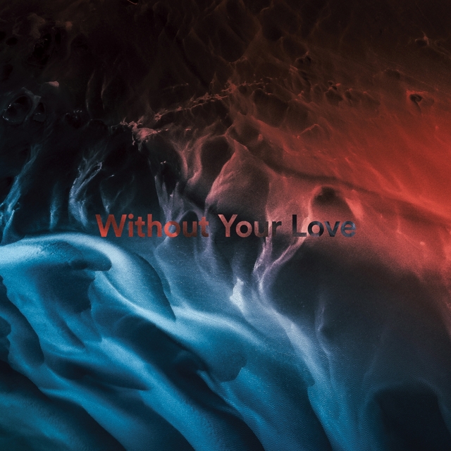 Couverture de Without Your Love