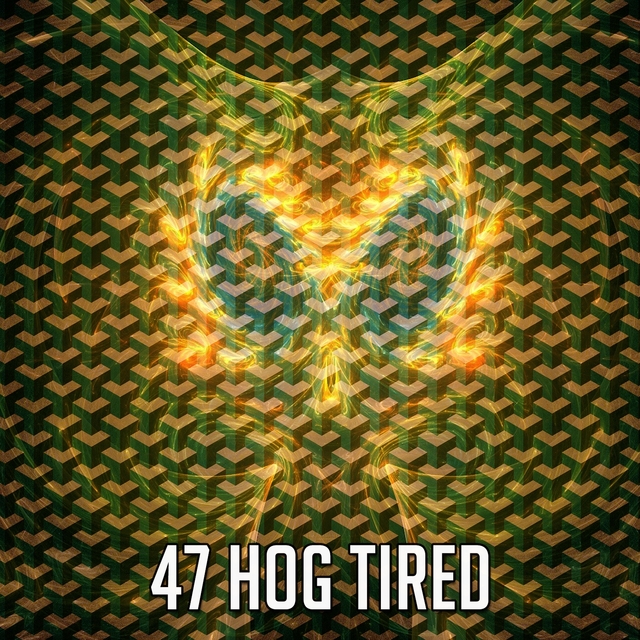 Couverture de 47 Hog Tired