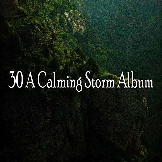 Couverture de 30 A Calming Storm Album