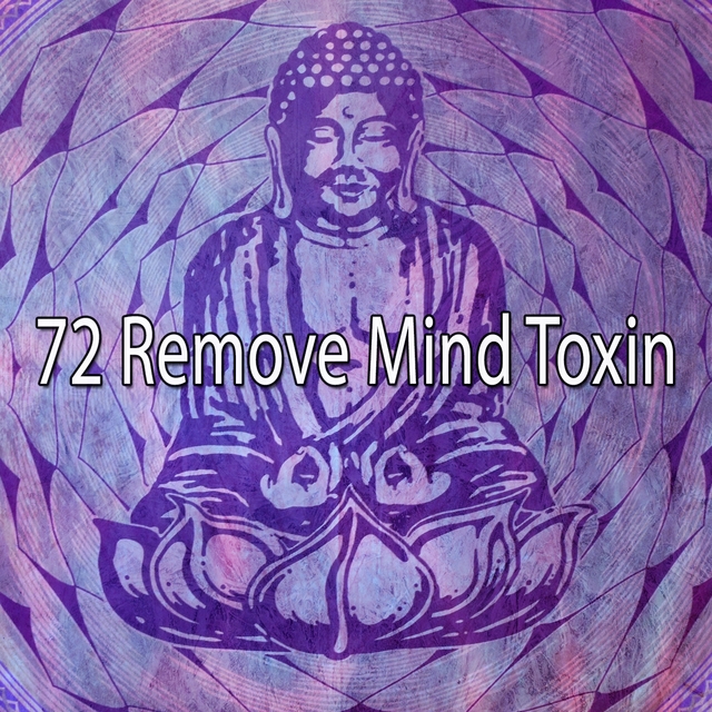 Couverture de 72 Remove Mind Toxin