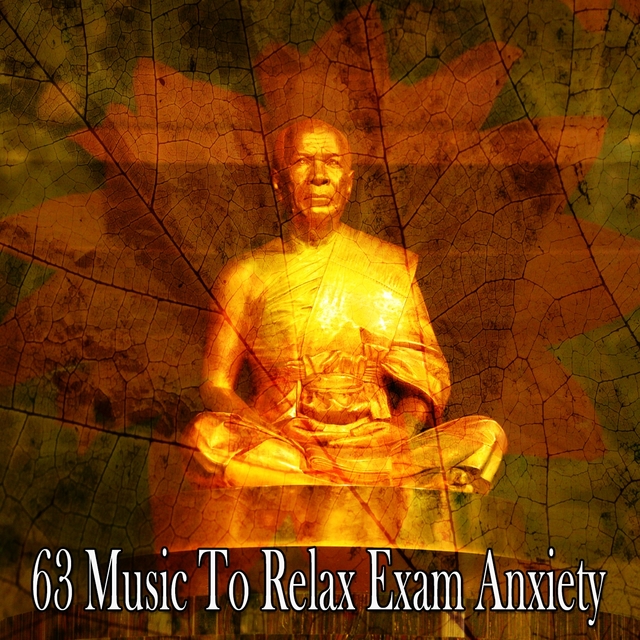 Couverture de 63 Music to Relax Exam Anxiety