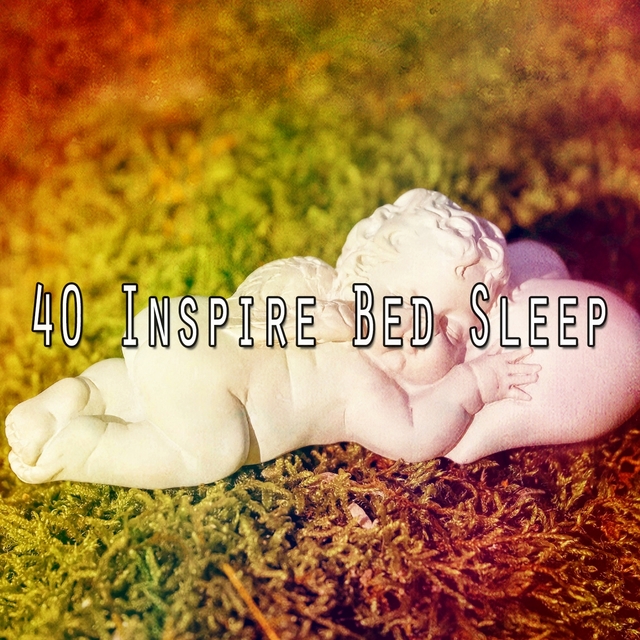 40 Inspire Bed Sleep