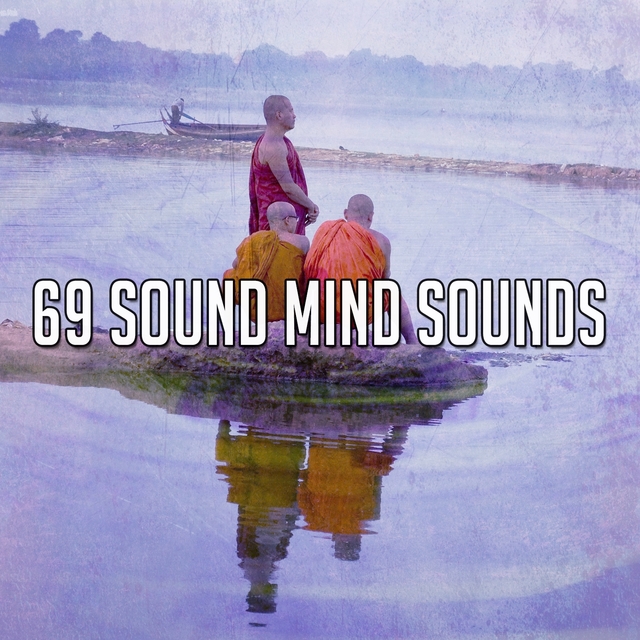 Couverture de 69 Sound Mind Sounds