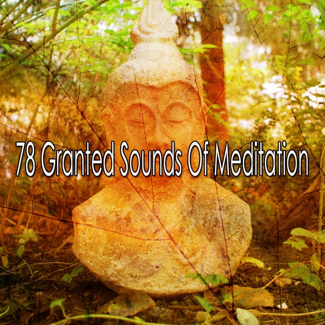 78 Granted Sounds of Meditation