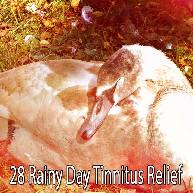 28 Rainy Day Tinnitus Relief