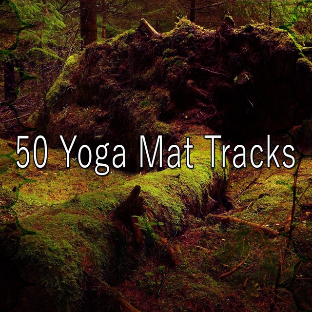 50 Yoga Mat Tracks