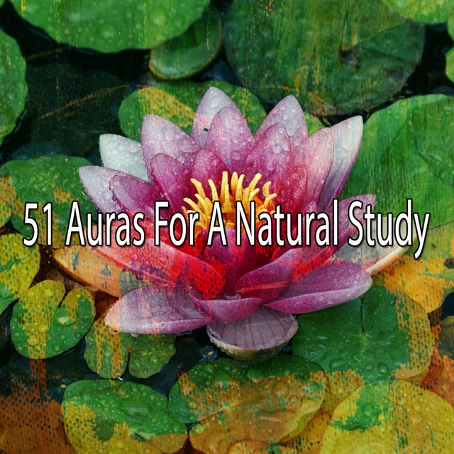 51 Auras for a Natural Study