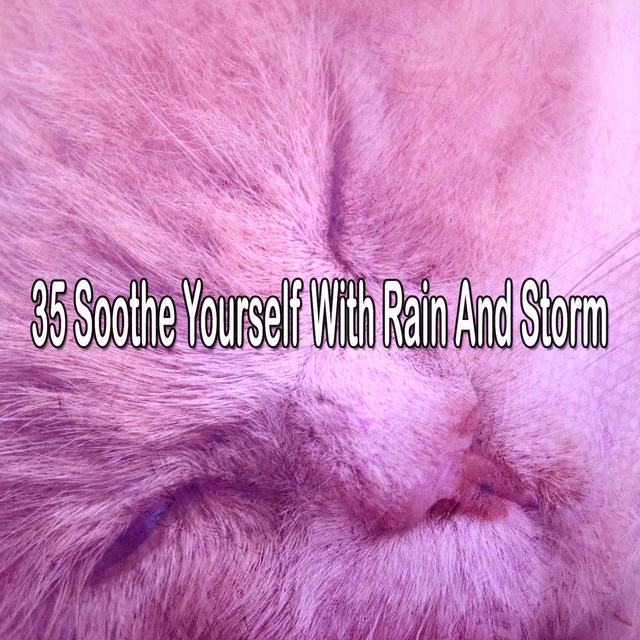 35 Soothe Yourself with Rain and Storm