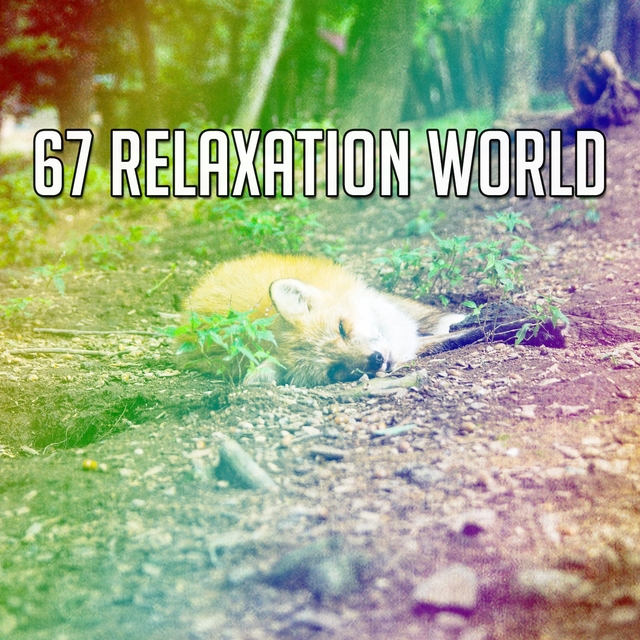 67 Relaxation World