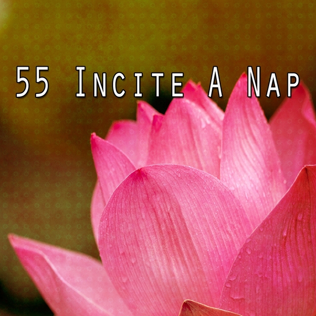 55 Incite a Nap