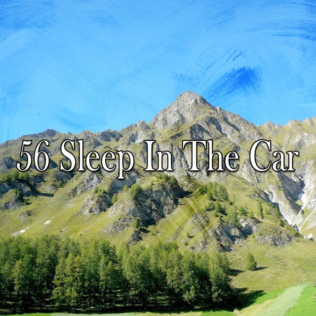 56 Sleep in the Car