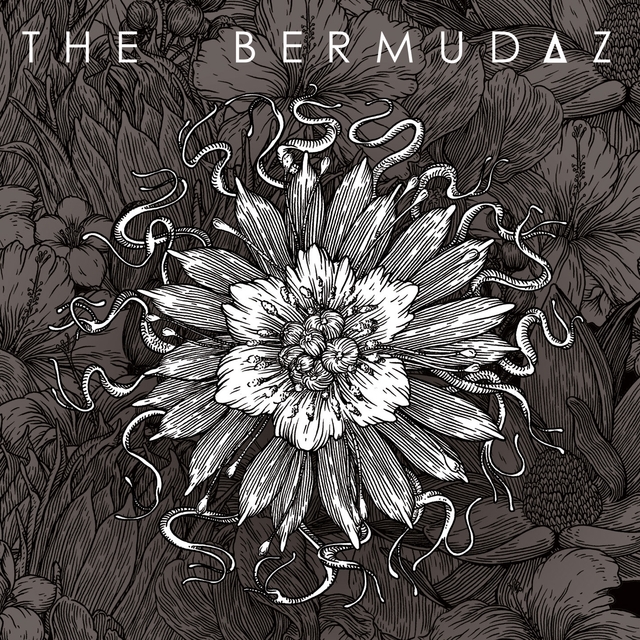 The Bermudaz