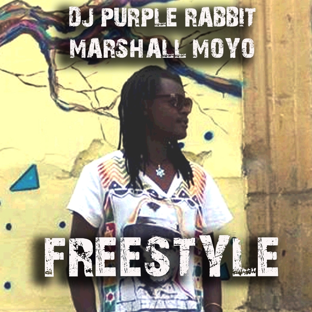 Couverture de Freestyle