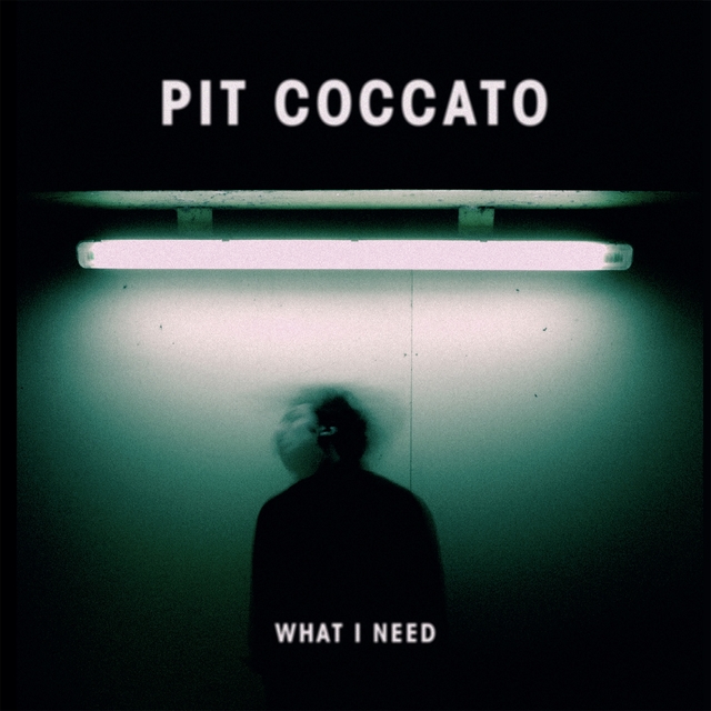 Couverture de What I Need