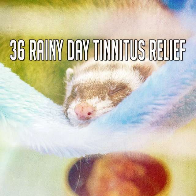 36 Rainy Day Tinnitus Relief