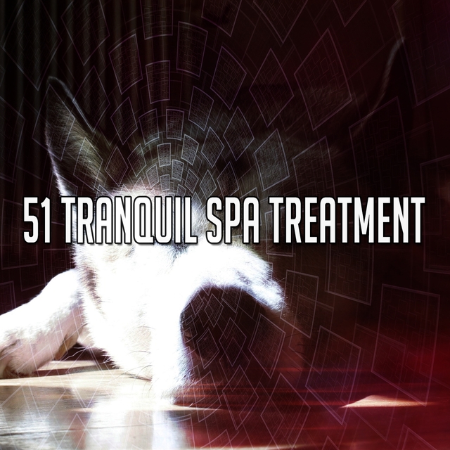 Couverture de 51 Tranquil Spa Treatment