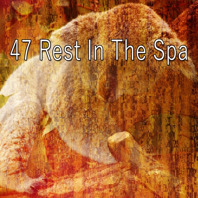 47 Rest in the Spa
