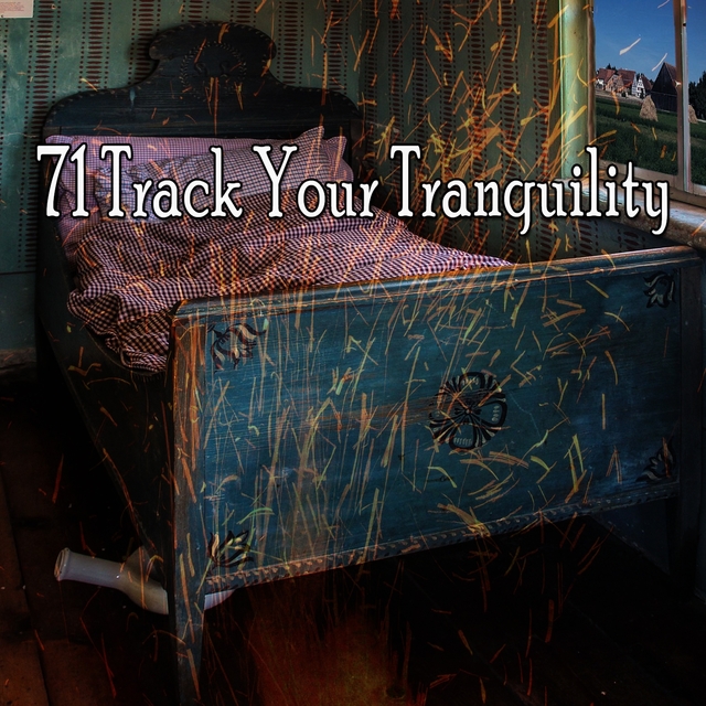 Couverture de 71 Track Your Tranquility