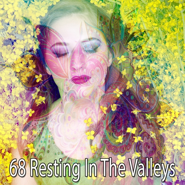 Couverture de 68 Resting in the Valleys