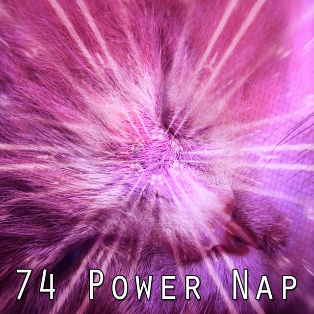 Couverture de 74 Power Nap