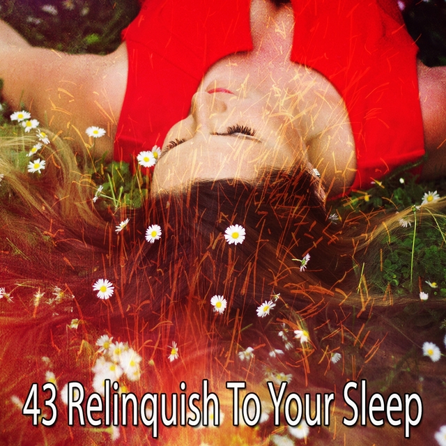 43 Relinquish to Your Sleep