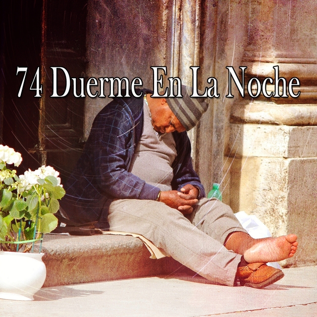 74 Duerme En La Noche