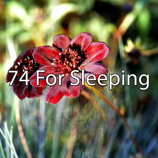 Couverture de 74 For Sleeping