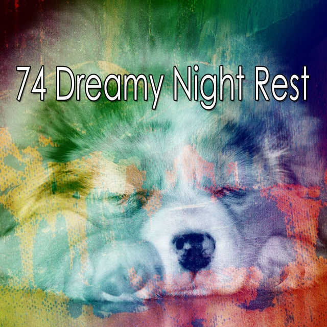 Couverture de 74 Dreamy Night Rest