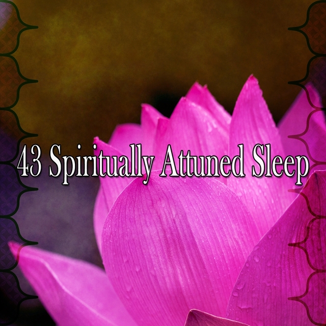 Couverture de 43 Spiritually Attuned Sleep