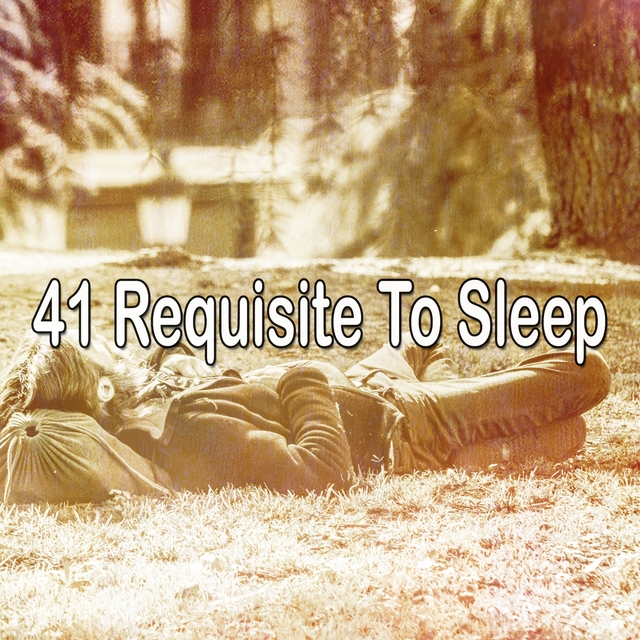 41 Requisite to Sleep