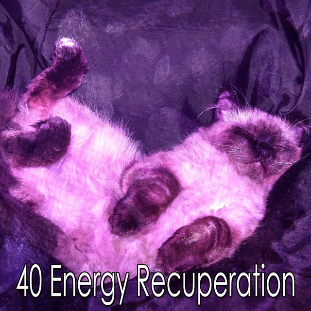 40 Energy Recuperation