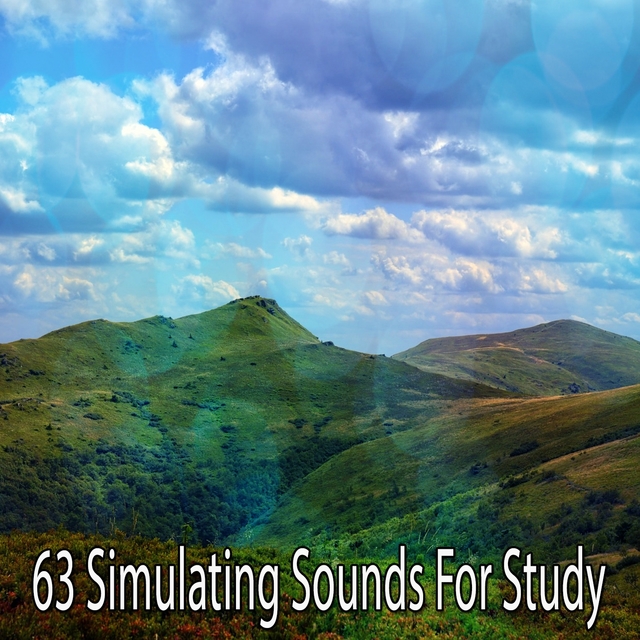 Couverture de 63 Simulating Sounds for Study