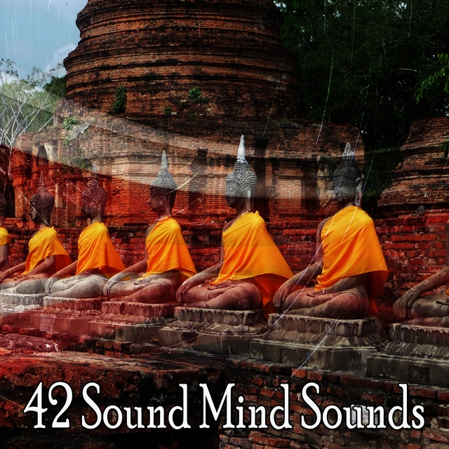 42 Sound Mind Sounds
