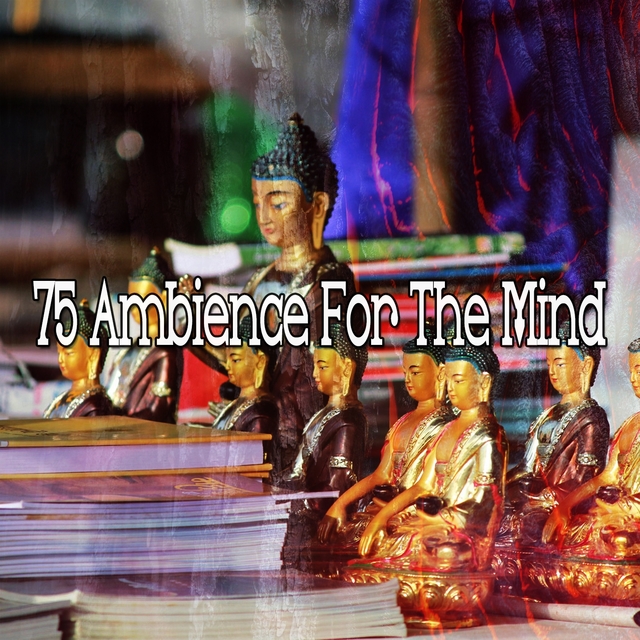 Couverture de 75 Ambience for the Mind