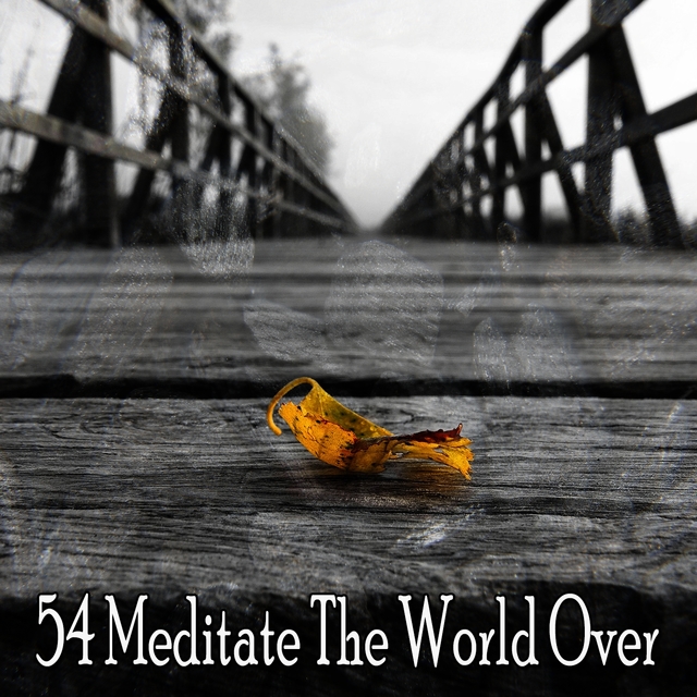 54 Meditate the World Over