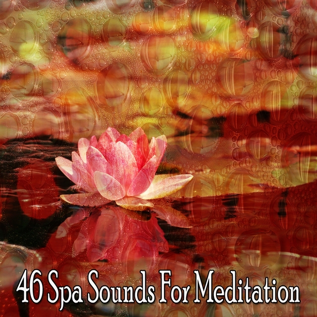 46 Spa Sounds for Meditation