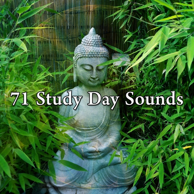 71 Study Day Sounds