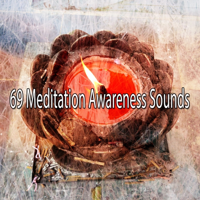 69 Meditation Awareness Sounds