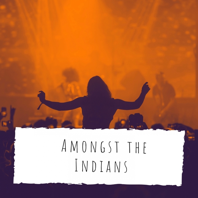 Couverture de Amongst the Indians