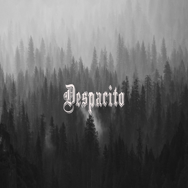 Couverture de Despacito