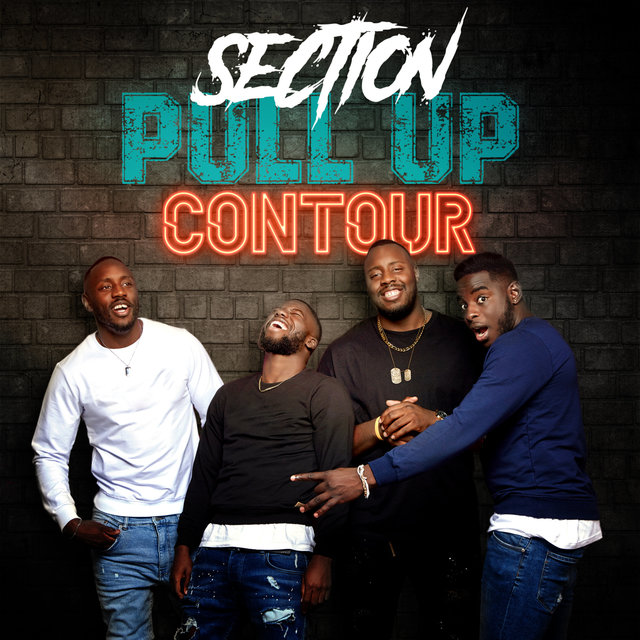 Couverture de Contour