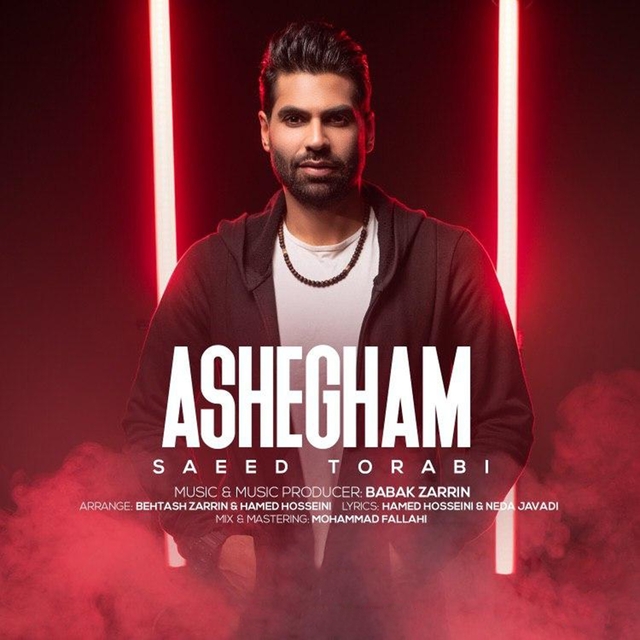 Couverture de Ashegham