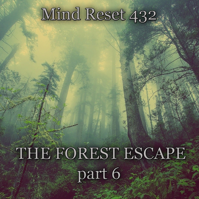 The forest escape