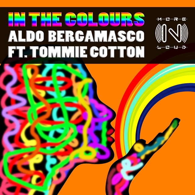 Couverture de In The Colours